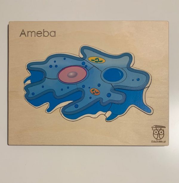 Ameba